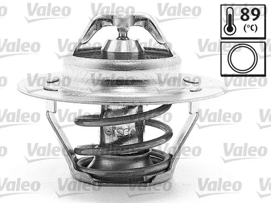 1338.44 Termostat RENAULT-VOLVO | 819862 VALEO