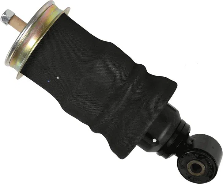 Pneumatıc Spring | 317804 SACHS