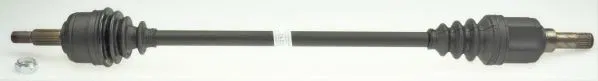 391002807R Komple Aks | 306389 GKN