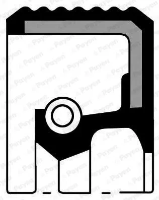 77 00 859 691 Keçe Renault | NF834 PAYEN