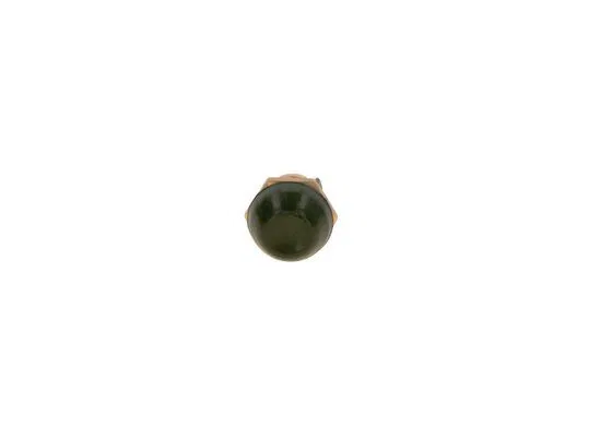 866289 Tuşlu Şalter | 0340000001 BOSCH