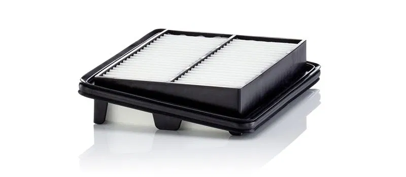 1378050R00 Filtre | C22060 MANN