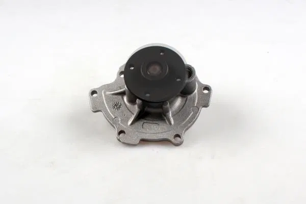 1607.852880 Water Pump | 987560 GK
