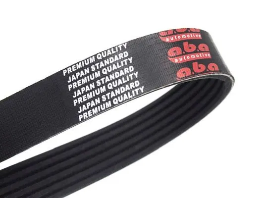 V760401480 Kanallı Kayış P208-P308-P508-P3008-P5008-EXPERT-JU | 6PK893 ABA