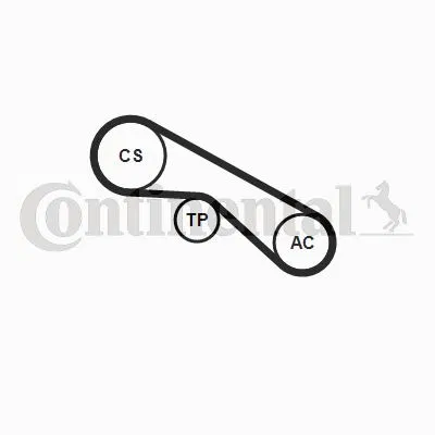 Kanallı V Kayış Seti | 5PK875K1 CONTINENTAL