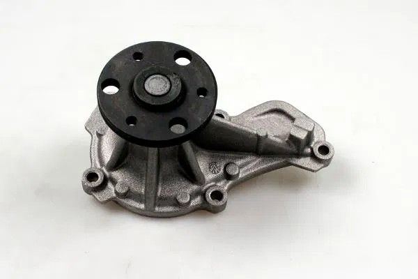 06192R1A305 Water Pump | 987850 GK