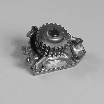 19200P30003 Water Pump Honda CRX III | 987827 GK