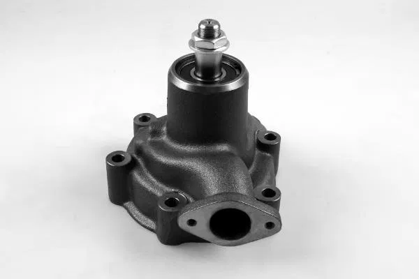 Water Pump | 980929 GK