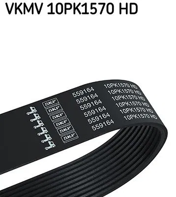 5000686803 V Kayısı | VKMV 10PK1570 HD SKF