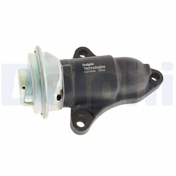 2562033010 EGR Valfi | EG10648-12B1 DELPHI