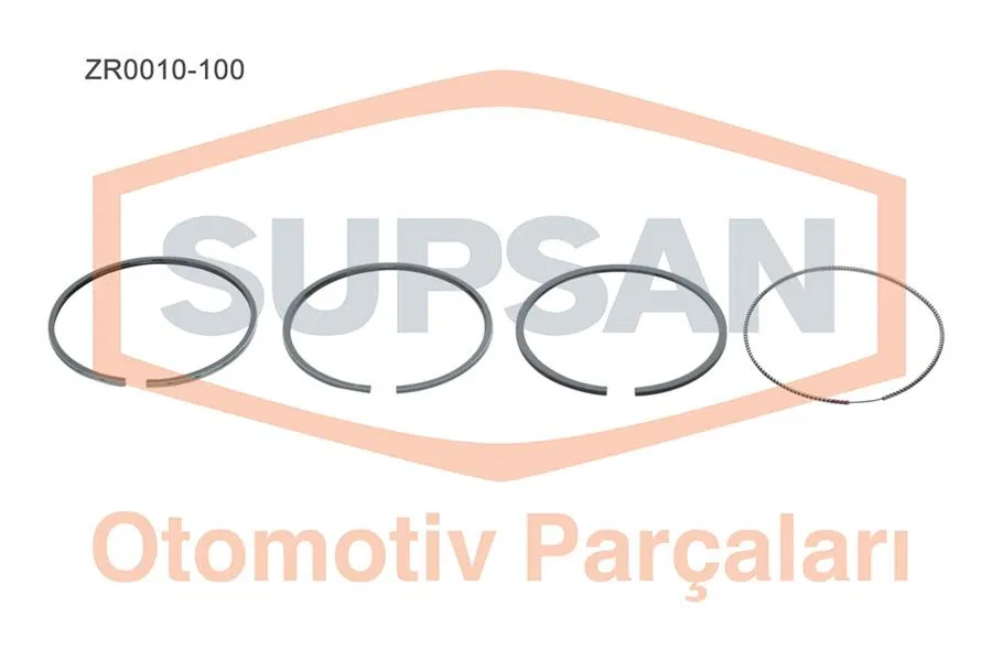 ZR0010 Segman Renault Kangoo / Clio / Megane II / Laguna | ZR0010-100 SUPSAN