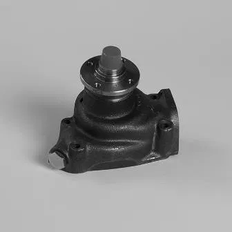 3771D021 Water Pump | 987376 GK
