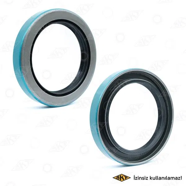 894763 Arka Aks Dis | 410250 SKT