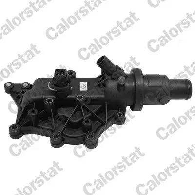 8200557693 Termostat (83 °C) Lgn II-Mgn II-Clio III 1.6 16V | TH6971.83J VERNET