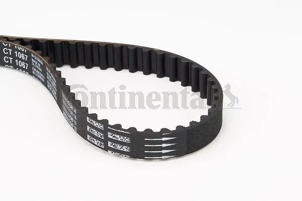 0816.F2 Triger Kayısı 104 Dis X 17 Mm ( Peugeot : Partner 1.4 06.96-- 206 207 306 307 1.4 ) | CT1067 CONTINENTAL