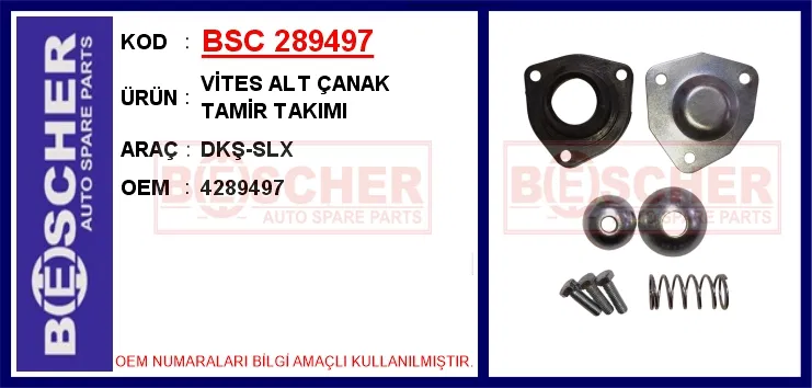 4289497 Vites Alt Çanak Tamir Takımı Dkş-Slx | 289497 BESCHER