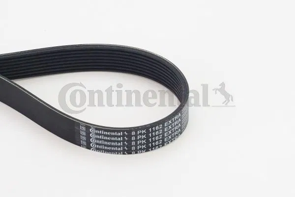 11288597653 Kanallı V Kayışı | 8PK1162EXTRA CONTINENTAL