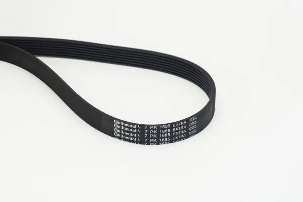 6000616598 Multi V-Belt Opel Vivaro B | 7PK1685EXTRA CONTINENTAL
