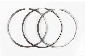 Segman Fr | 9400956289 OPAR