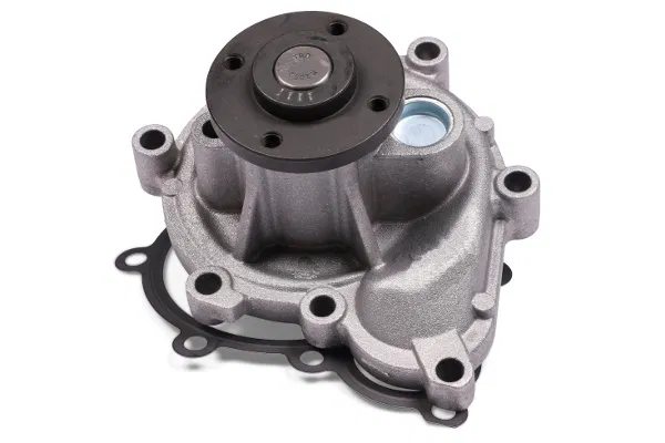 30731384 Water Pump | 986983 GK