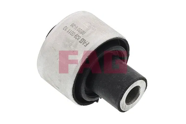 1090815 Salıncak Burcu BMW 5 | 829001110 FAG