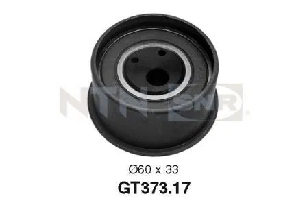 24450 Gergi Rulmanı Triger Tensioner | GT37317 SNR