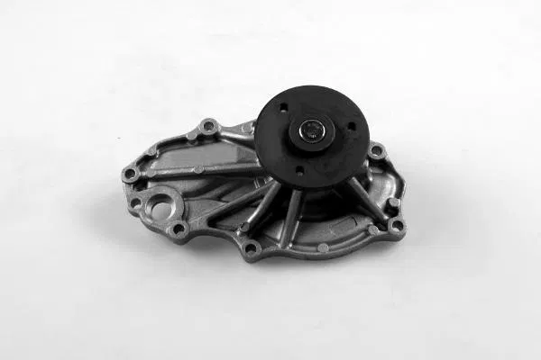 19200RL6G01 Water Pump | 987847 GK