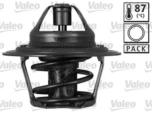 96143939 Termostat Audi Ford | 819853 VALEO