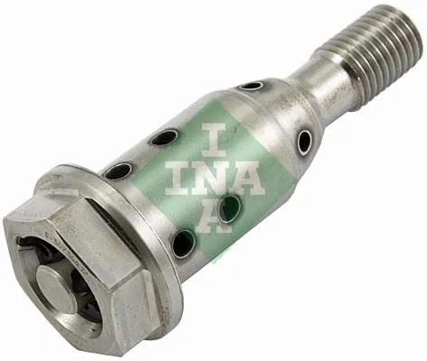 55562224 Eksantrik Mil Ayarı Opel Adam Astra J Corsa D E In | 427001910 INA