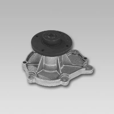 2101017S25 Water Pump | 981747 GK