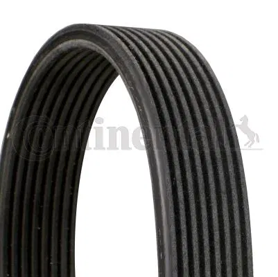 11287628279 Kanallı V Kayışı BMW 7 F01-F02-F03-F04 740i 08-15 -BMW X6 E71-E72 Xdrive 35 İ 08-14 | 8DPK1833 CONTINENTAL