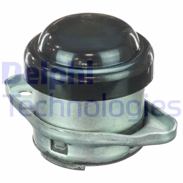 1844.58 Motor Takozu | TEM077 DELPHI