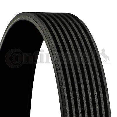 J911559 Kanallı Kayış MAN Nl 03- | 8PK1580 CONTINENTAL