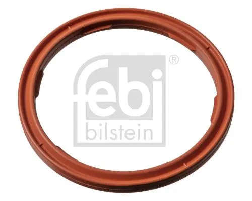 1100590 Keçe Yağ Seviyesi Sensörü İçin Ford Car | 183988 FEBI