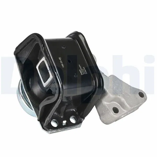 183994 Motor Takozu Peugeot 307 CC | TEM264 DELPHI