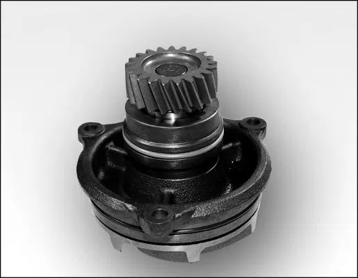 0000042535615 Water Pump | 981171 GK