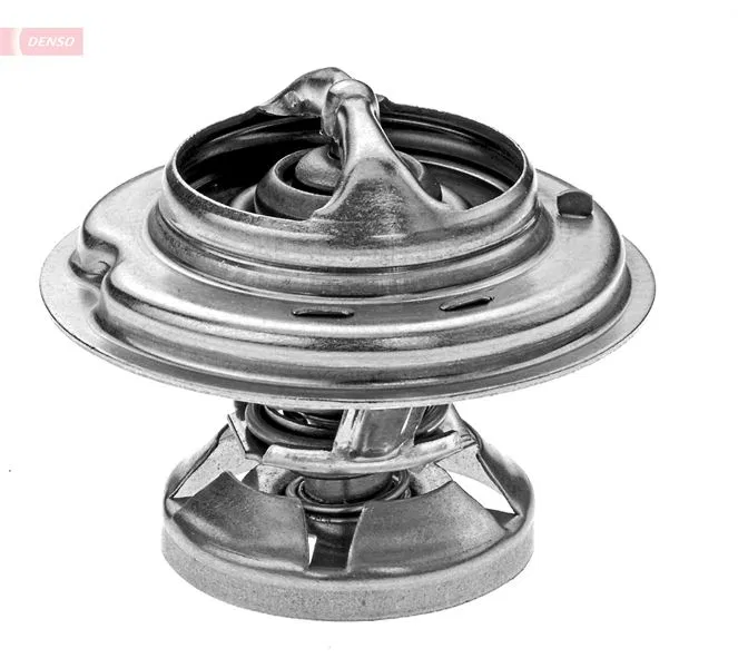 6022000015 Termostat | DTM79251 DENSO