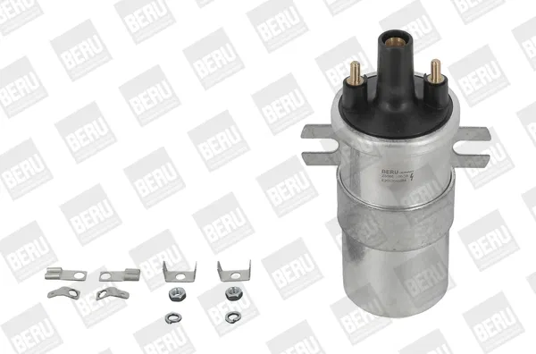 11655650790000 Ateşleme Bobini | ZS568 BERU