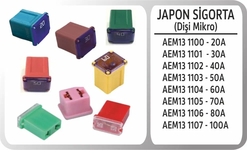 1107 Japon Sigorta Disi Mikro 100A | AEM