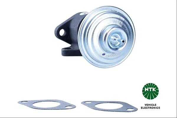 WAV100220 EGR Valfi EGP0-N059 Land ROVER-MG-ROVER | 95549 NGK