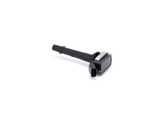 1066001487 Atesleme Bobını Emgrand EC 7 | F 01R 00A 039 BOSCH
