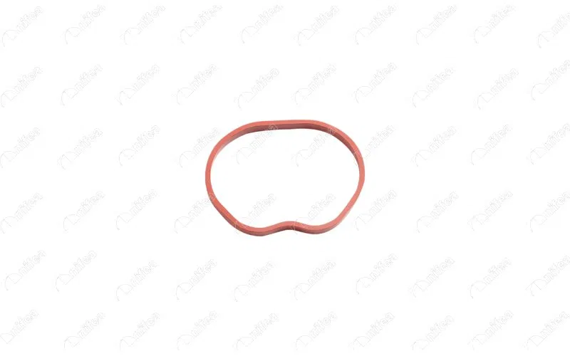 2S6G9441CA 2S6G Manifold Contası Emme FORD-VOLVO FOCUS-FIESTA-FUSI | 19779 NIFEA