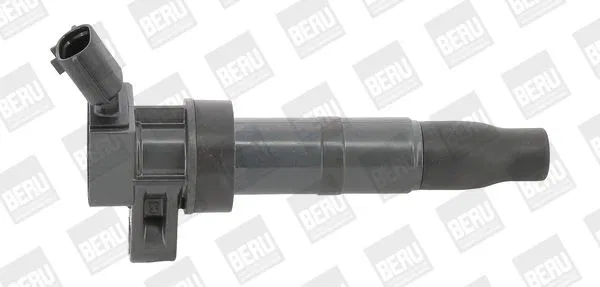 273003F100 Ateşleme Bobini | ZS548 BERU