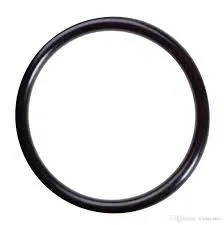 1618094980 O Ring | GM