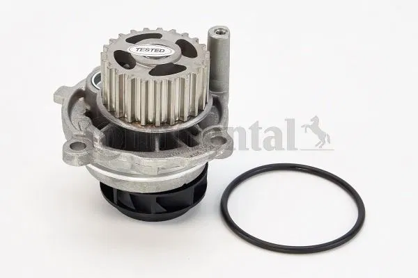 06B121011 Devirdaim | WP6010 CONTINENTAL