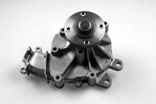 1610009400 Water Pump | 987711 GK
