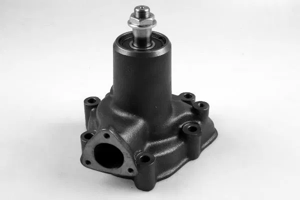 Water Pump | 980975 GK