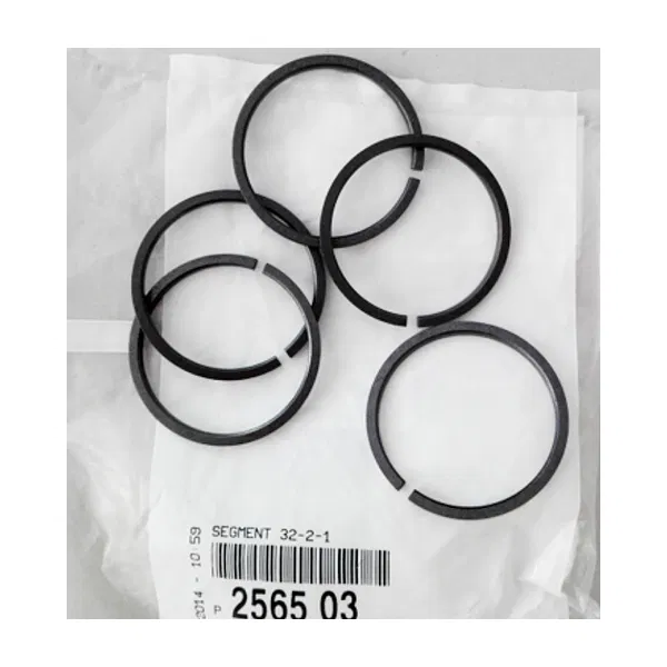 PSA 2565.03 Segman | PSA