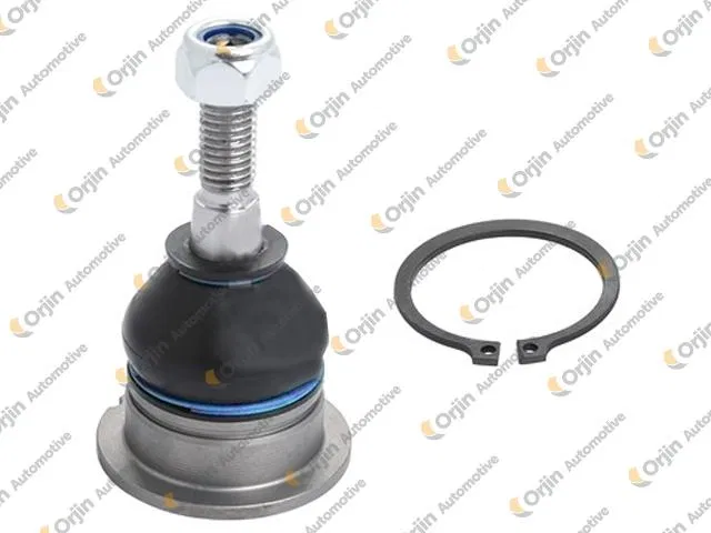 Rotıl | 02667 ORJİN