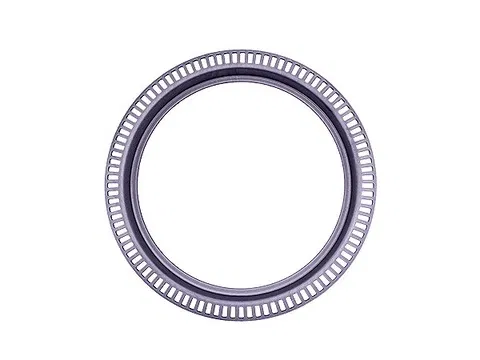 9602620428 ABS Sensör Halkası | 722096110 INA